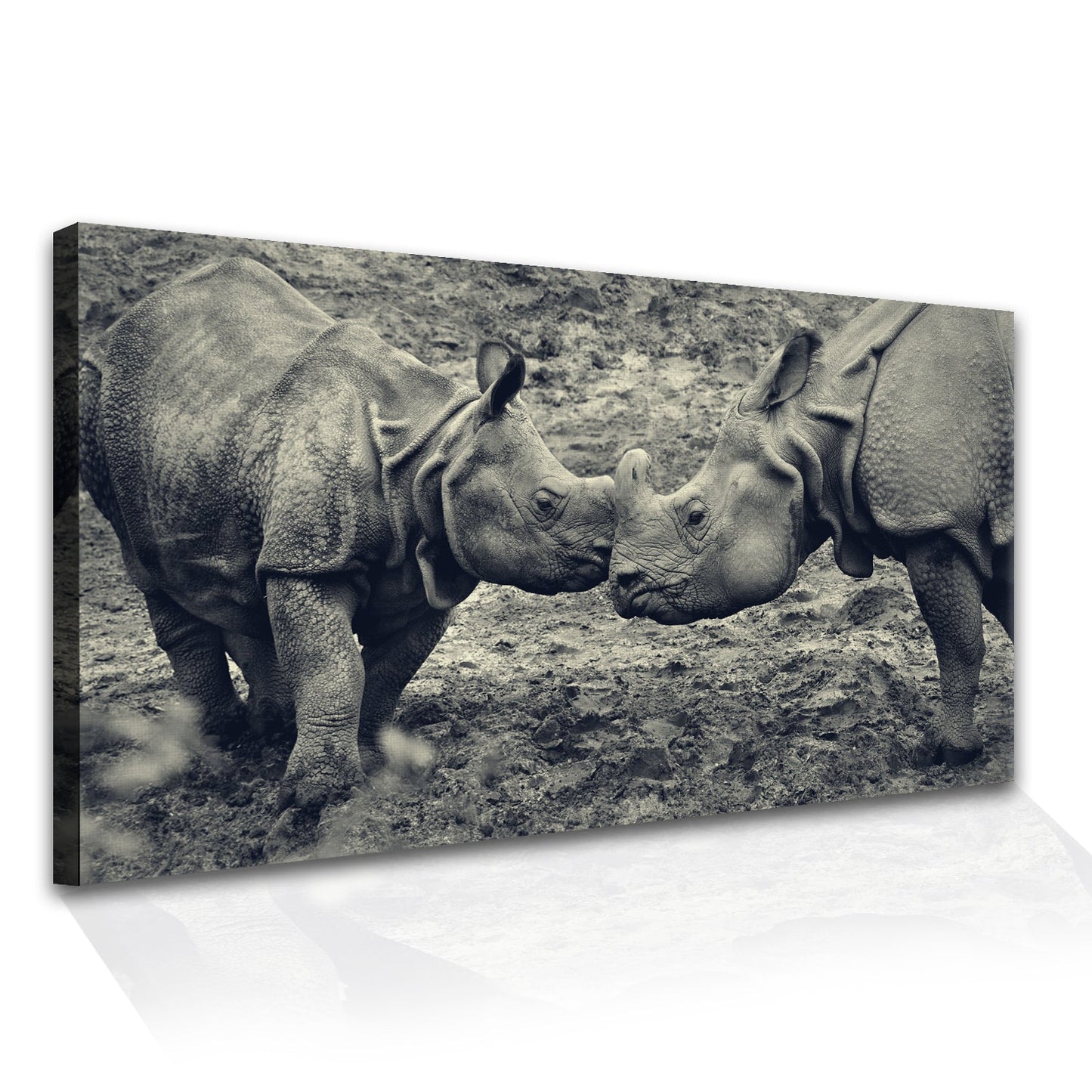 Affectionate Canvas Wall Art Painting