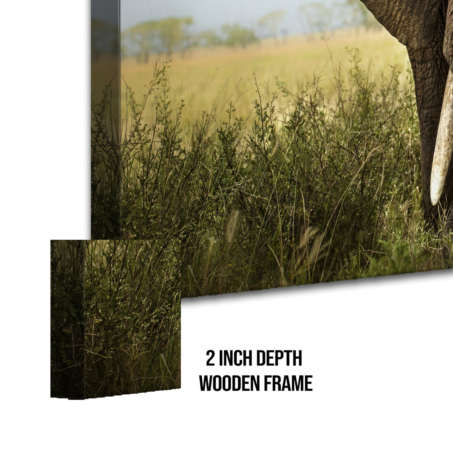 A Tusker's Dust Bath Canvas Wall Art Paining