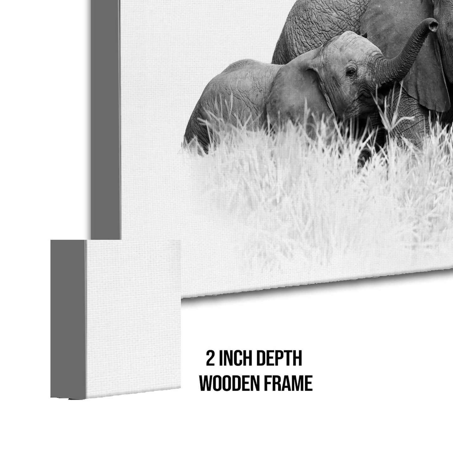 Elephant Vastu Wildlife Canvas Wall Painting Framed 24 x 48 Inch