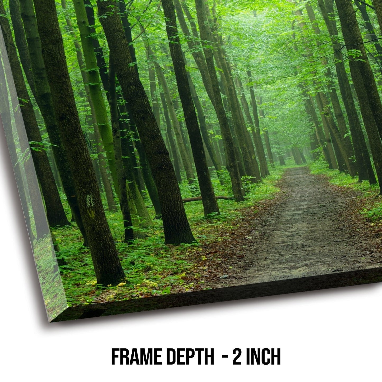 Evergreen forest Canvas Wall Art Painting