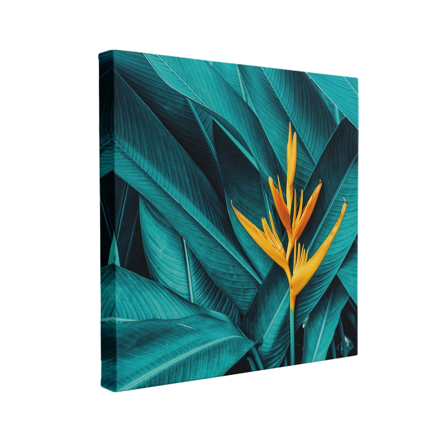 Large Topical Canvas Wall Art Painting for Living Room, Home, and Office.