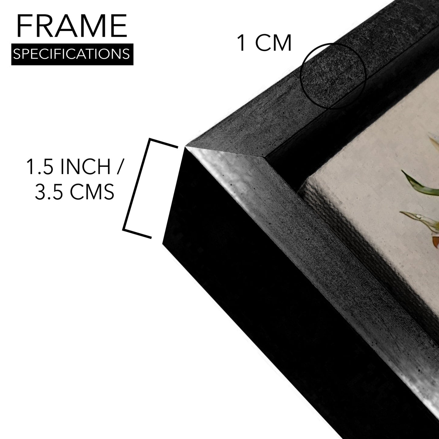 PAPER PLANE DESIGN Canvas Floral Wall Art: A Symphony of Nature's Elegance Large Size Canvas Framed Paintings For Living Room, Office, Home Decor. (FLWA17)