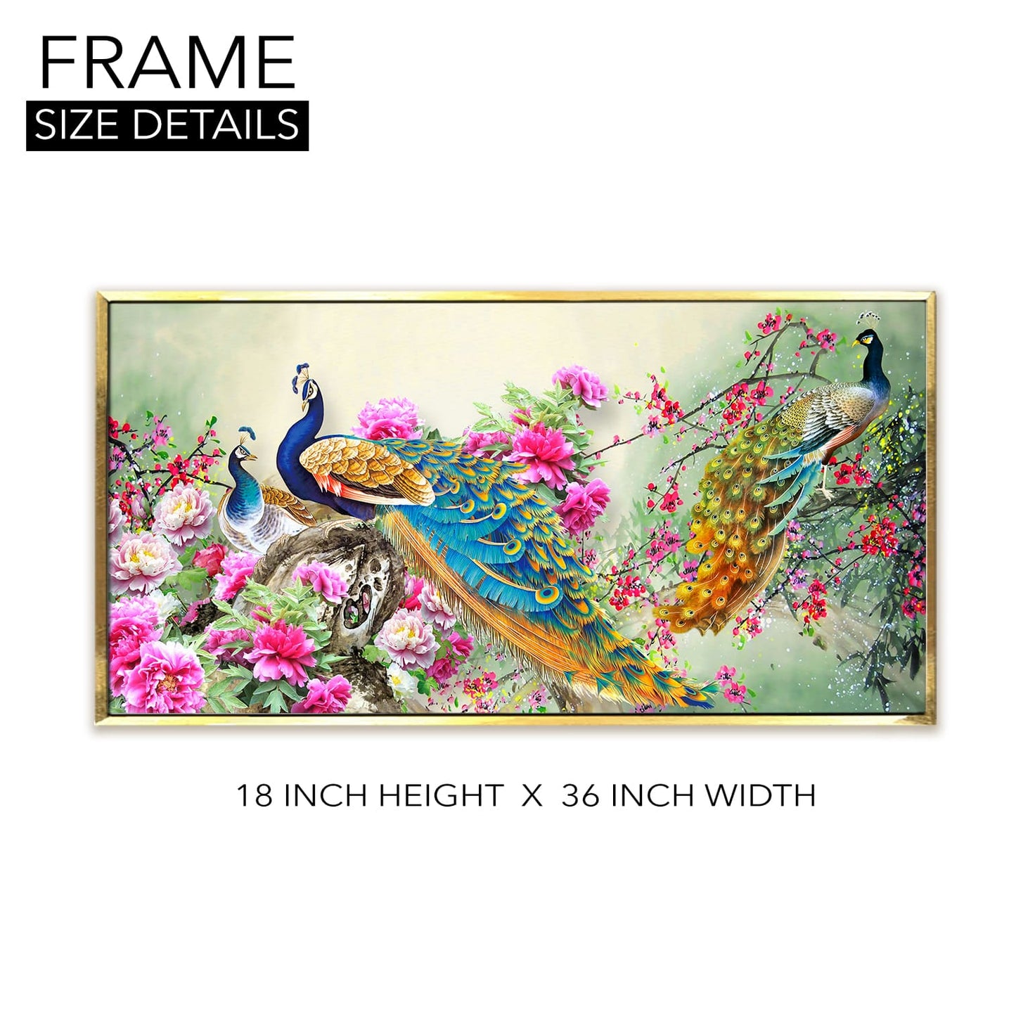 Peacock Canvas Wall Art Painting