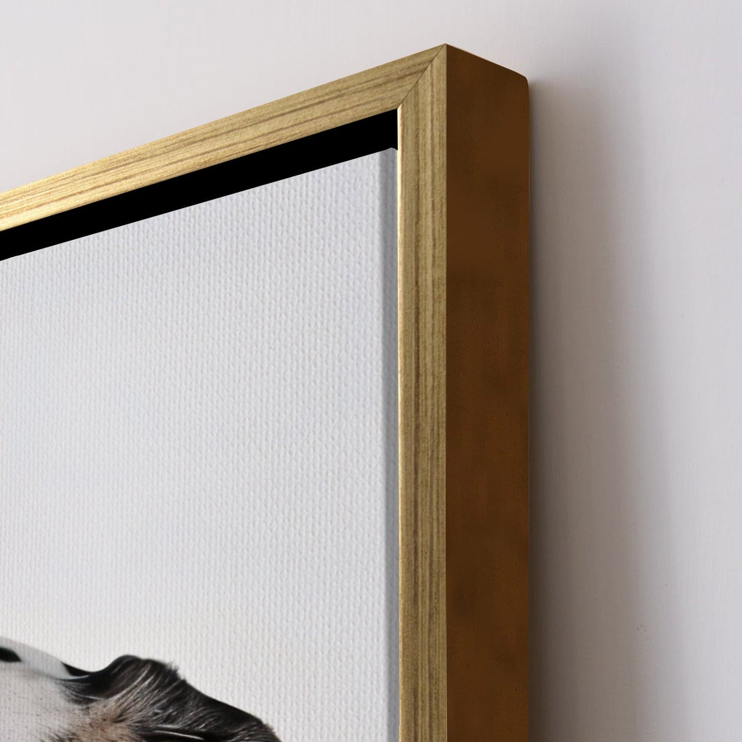 Pooch Love Canvas Wall Art. High Definition Potraits of Animals. (BWWA01)