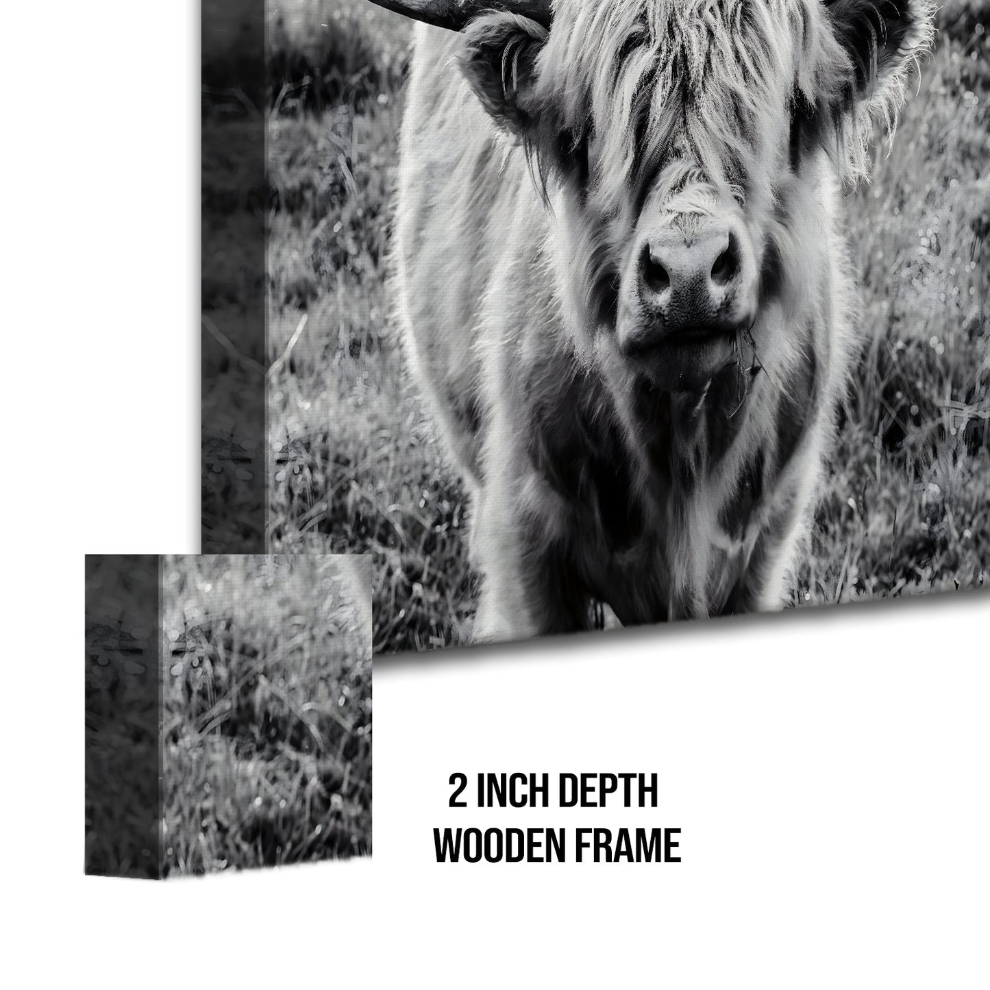 Wildlife Canvas Wall Art. High Definition Potraits of Animals. (BWWA02)