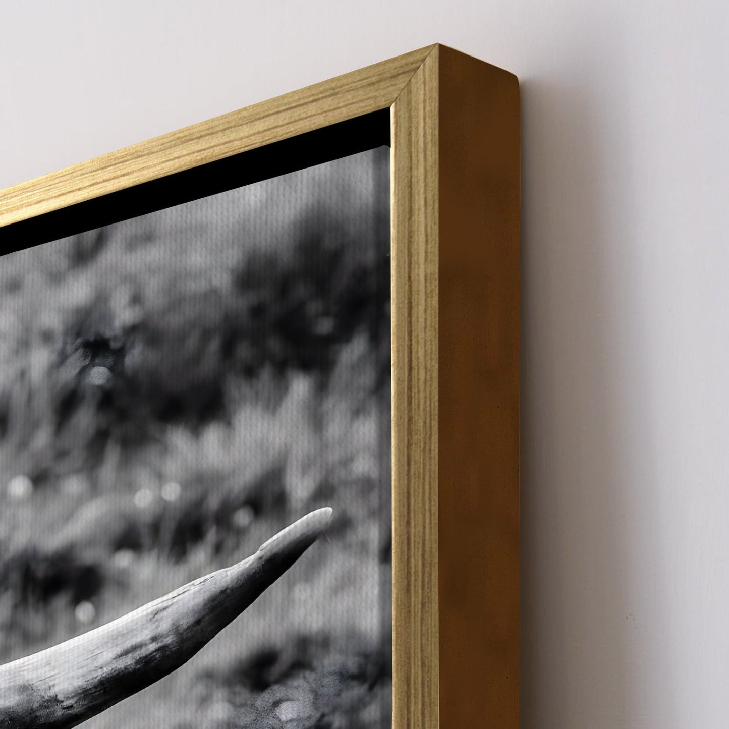 Wildlife Canvas Wall Art. High Definition Potraits of Animals. (BWWA02)