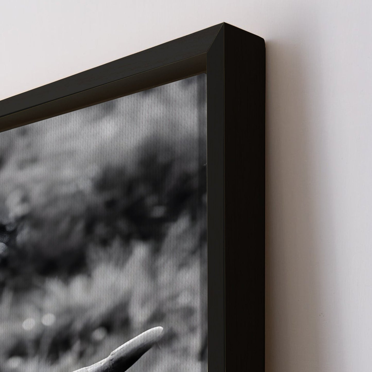 Wildlife Canvas Wall Art. High Definition Potraits of Animals. (BWWA02)