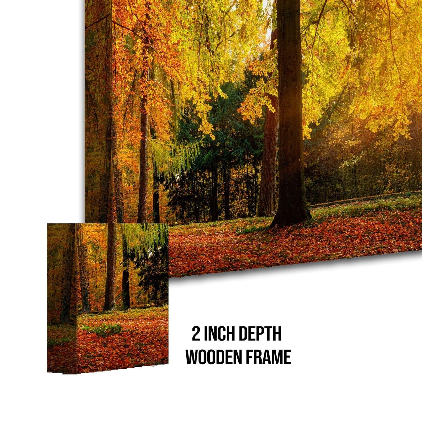 Forest Wildlife Canvas Wall Art For Living Room Decor