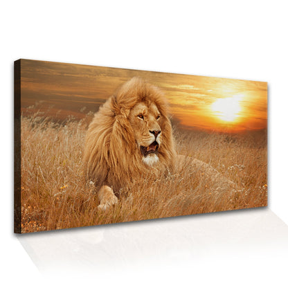 Graceful Lion Canvas Wall Art Paining