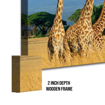 Amazing Wildlife Wall Art. Large Canvas Framed Digital Reprints of Jungle, Wildlife, Animals and Birds. Ready To Hang. Size: 24 Inch x 48 Inch (WBWA27)