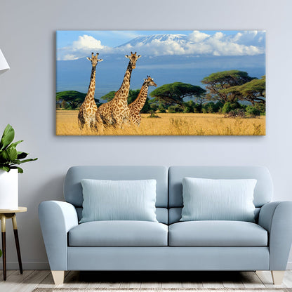Masai giraffes Canvas Wall Art Painting