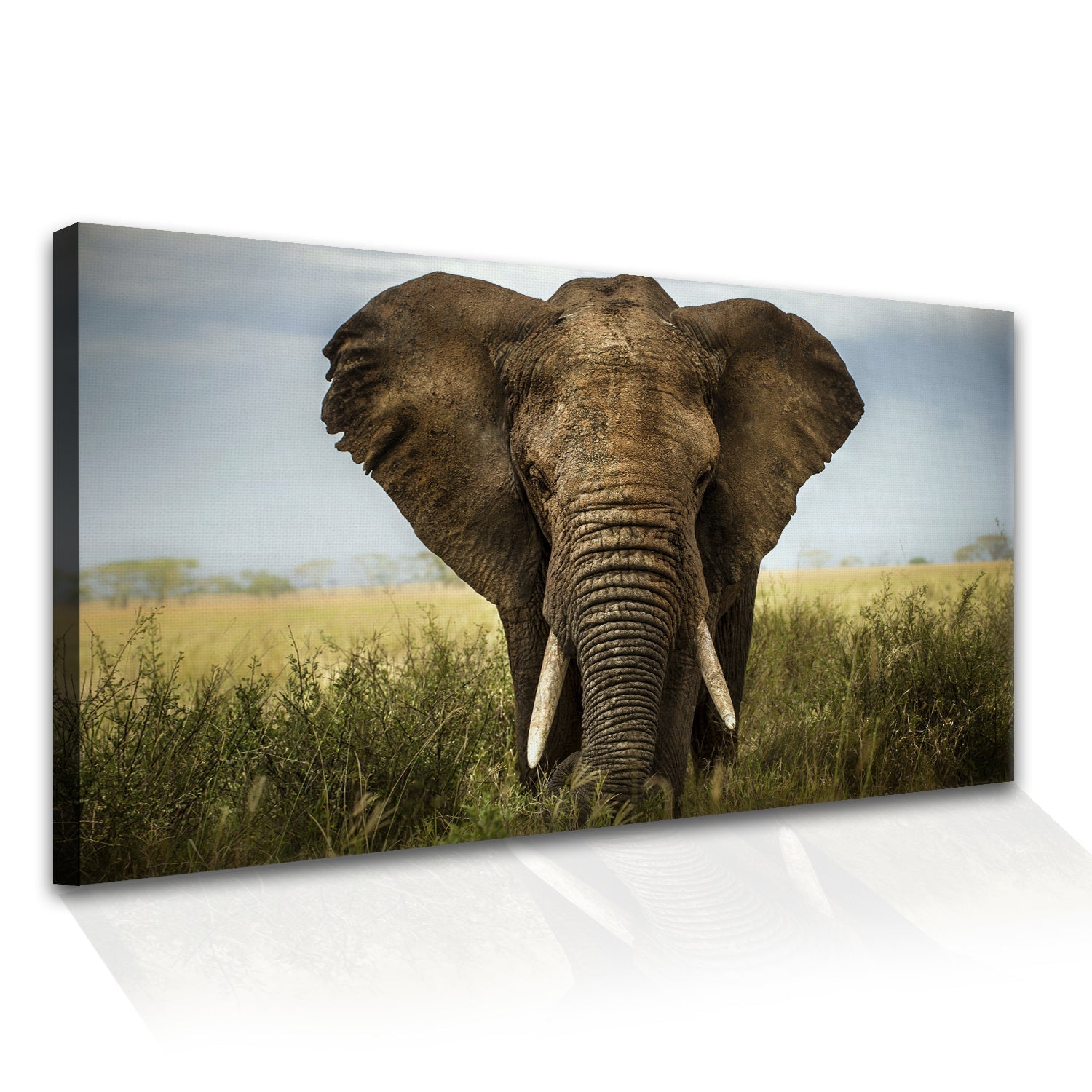 A Tusker's Dust Bath Canvas Wall Art Paining