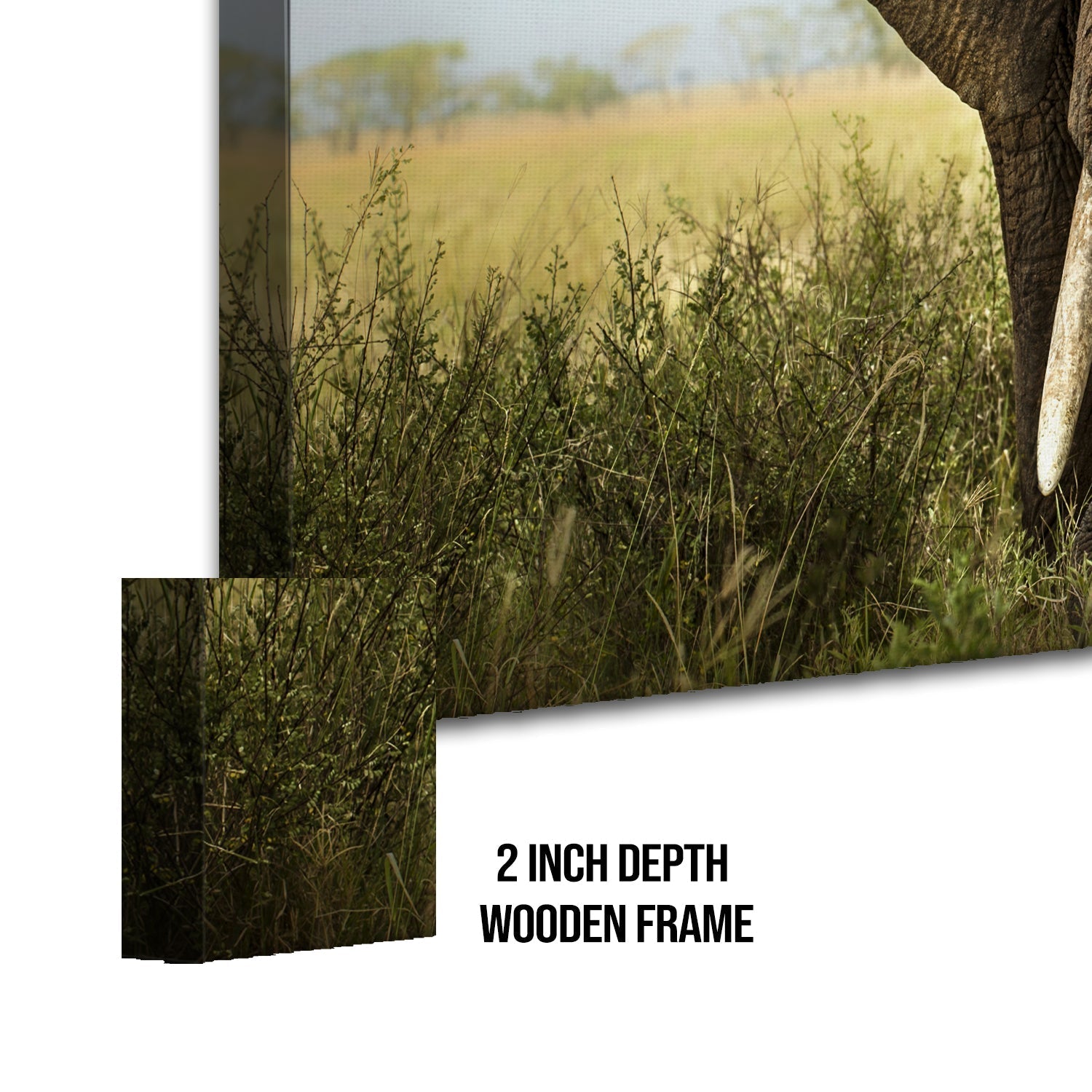 A Tusker's Dust Bath Canvas Wall Art Paining