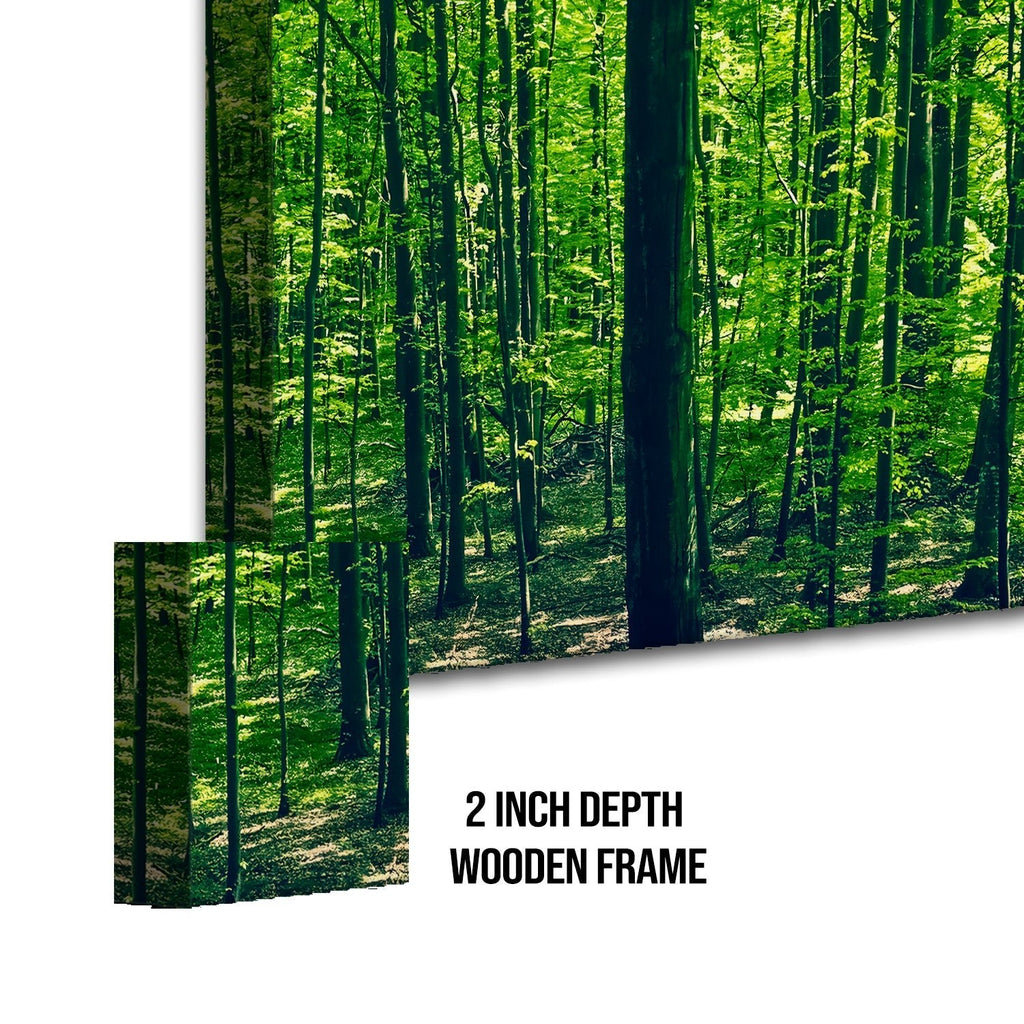 Smell of spring in forest Canvas Wall Art Paintings