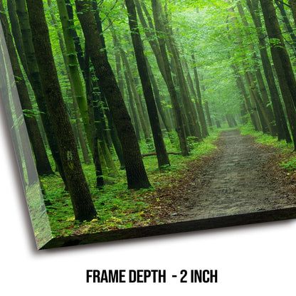 Evergreen forest Canvas Wall Art Painting 
