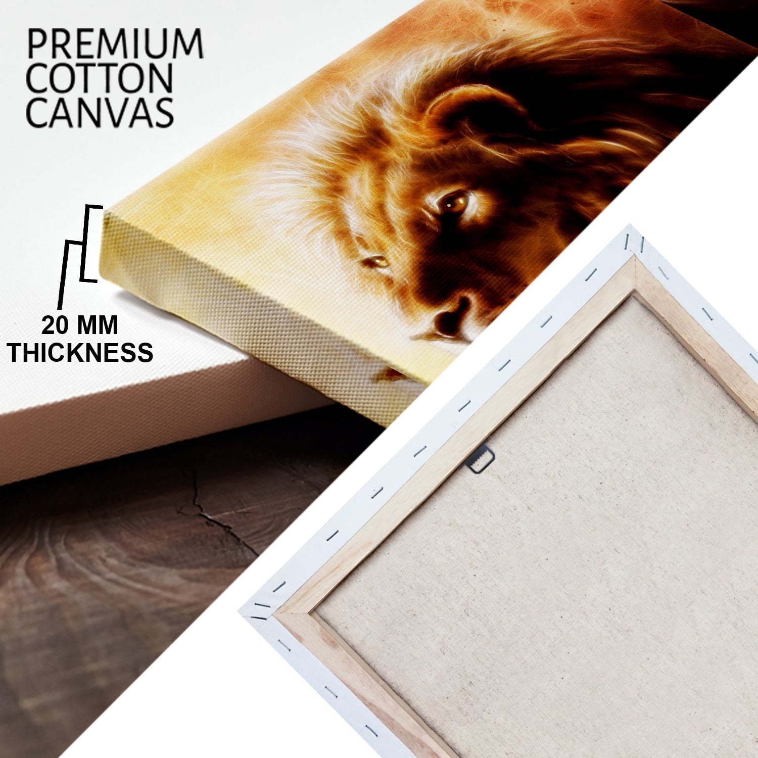 Brown Lion Wildlife Canvas Wall Art Painting 