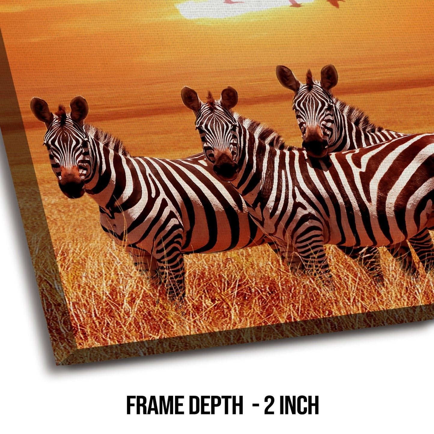 Large Zebra Wildlife Canvas Wall Art Painting 